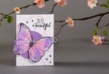 Butterfly stamp set - Bold Wings - Fun Stampers Journey with Alex Gomez