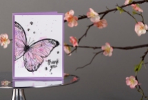 Butterfly stamp set - Bold Wings - Fun Stampers Journey